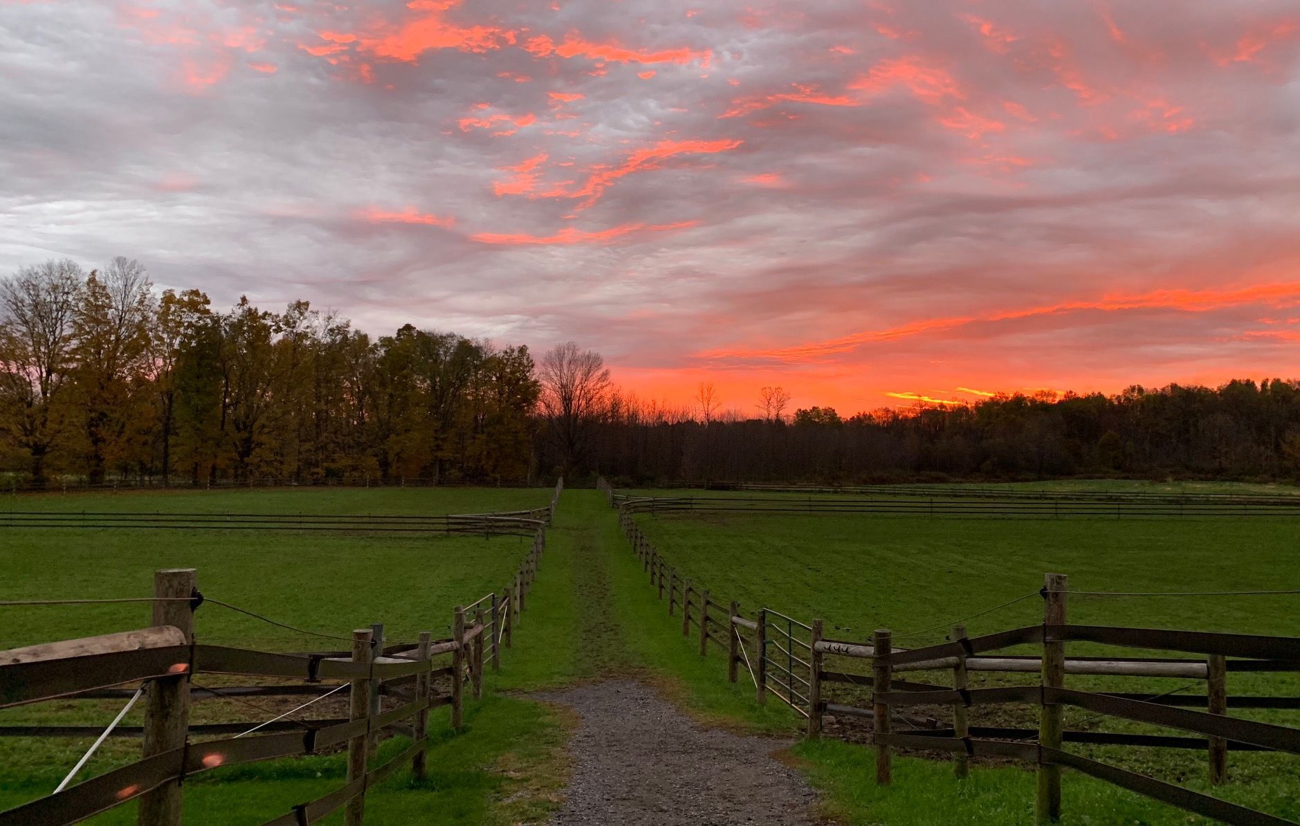 A beautiful morning