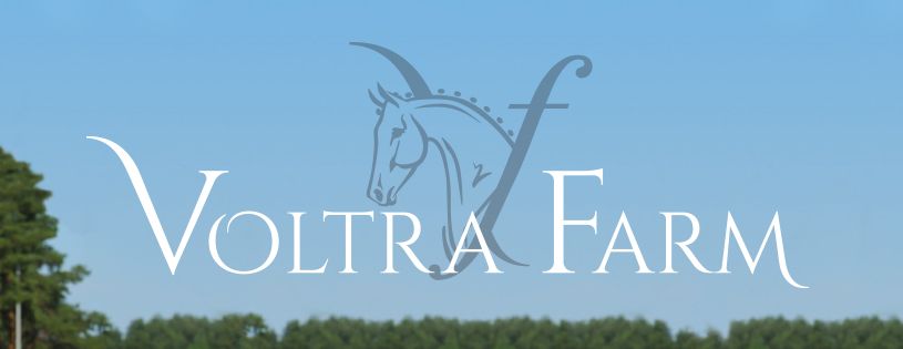 Dressage Academy Voltra Farm